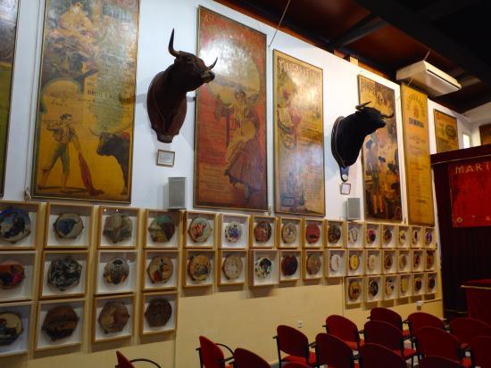 Bull Fighting Museum