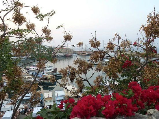 The Cyprus House & Carob Warehouse