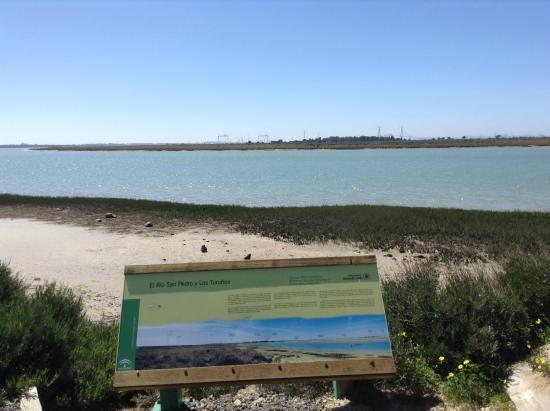 Parque Natural Bahia de Cadiz