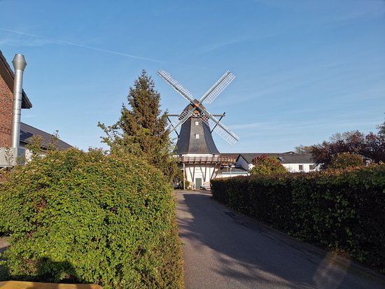 Windmühle Antje