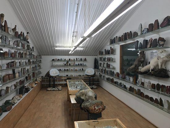 Bones and stones museum