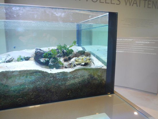 National Park House North Sea coast Wurster