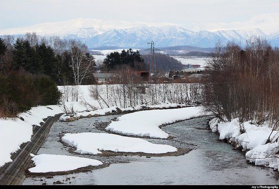 Biei-Cho Kyodo Gakkan