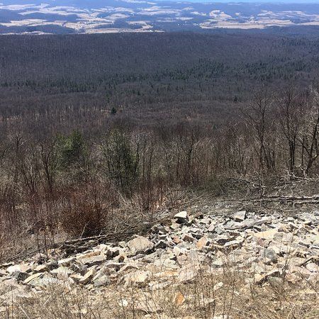 Rothrock State Forest
