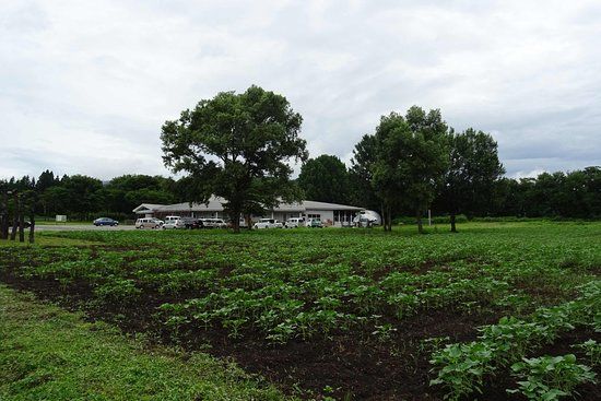 Tsunan Agriculture and Jomon Era Experience Training Hall Najomon