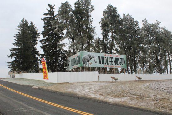 Lasting Legacy Wildlife Museum