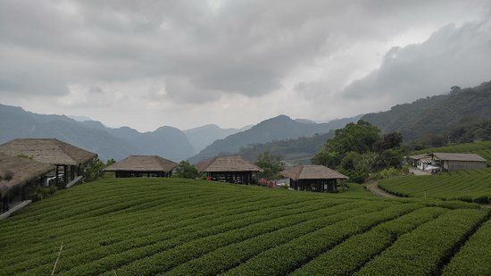 Ali Shan Zou Zu Wenhua Buluo