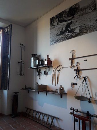 Museo Civilta Contadina