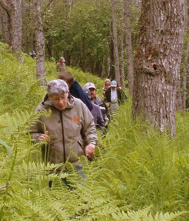 ACarl E Wynn Nature Center