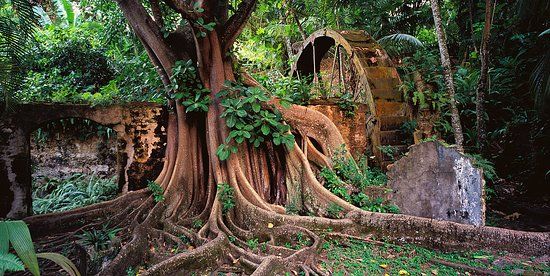 Balenbouche Estate Heritage Site