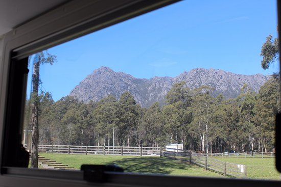 O'Neills Creek Picnic Reserve