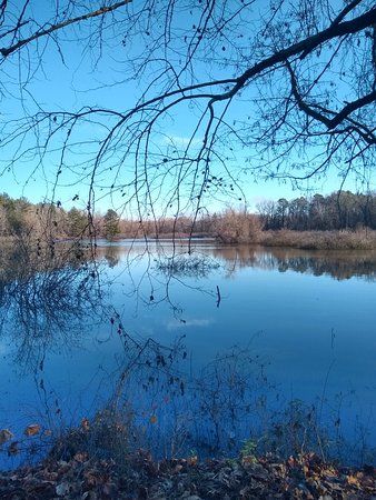 Bona Dea Trails & Sanctuary