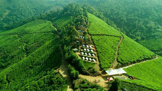 Tea Town Kerala