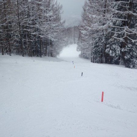 Washigatake Ski Area