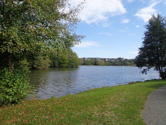 Bar-Brasserie D'La Plage