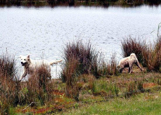Auberge de Moerse Hoeve