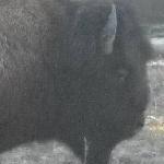 Cancun Mexican Restaurant