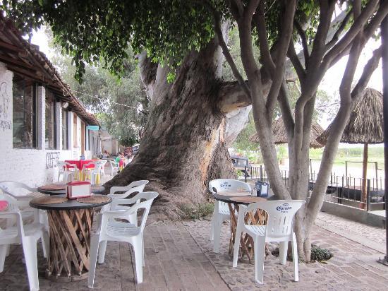 Maria Isabel Restaurant