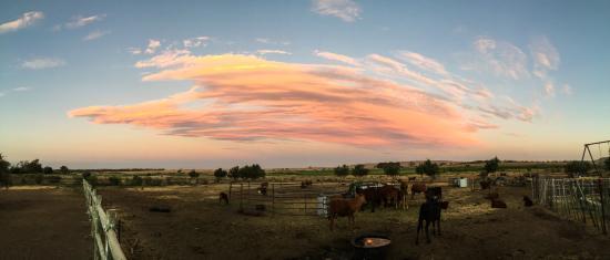The Little Ranch