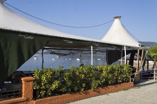 Taverna Galija