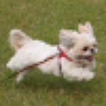 Street Ga Ne Fire Chickens' Feet