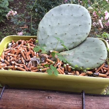 La Vecchia Mangiatoia