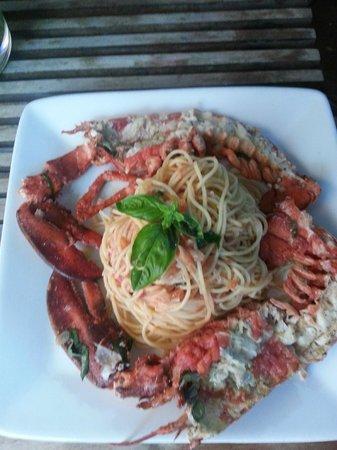 Rqd Paradise Bar Restaurant