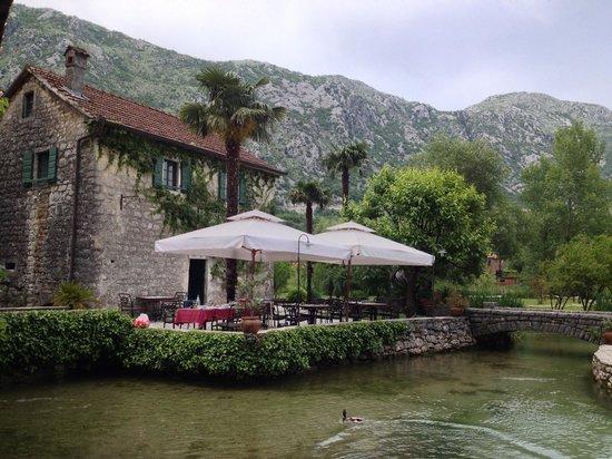 Konoba Catovica Mlini