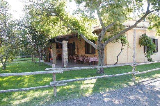 Agriturismo Casale dei Girasoli