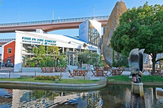 Fish in the Forest TOOTH TOOTHxSora Botanical Garden