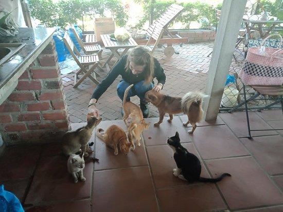 Tron Cafe & Vegetarian