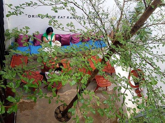 The Home Roastery Coffee