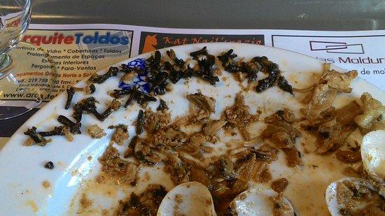 Pastelaria Doce Camelia