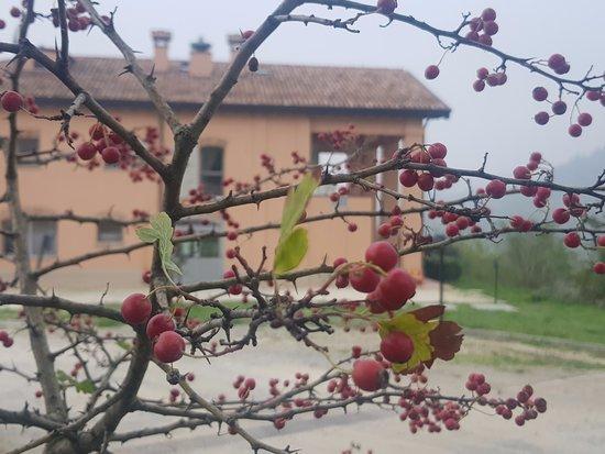 Ristorante dell'Agriturismo Ben Ti Voglio