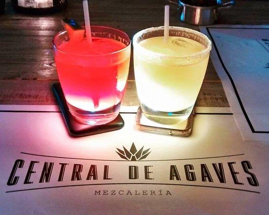 Central de Agaves