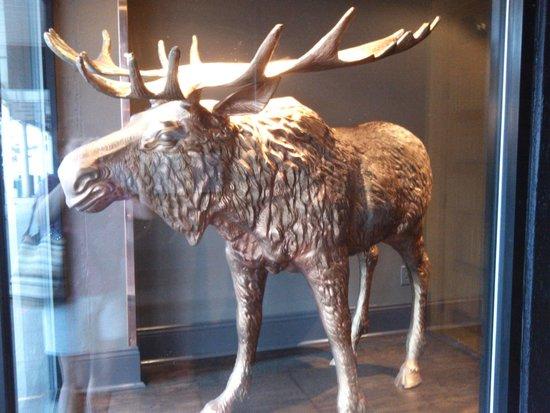 Copper Moose Ale House