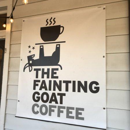 The Fainting Goat