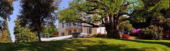 La Caffetteria di Villa Piazzo