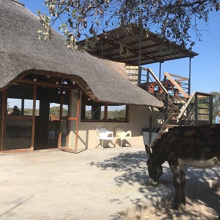 The Thirsty Giraffe Pub And Grill