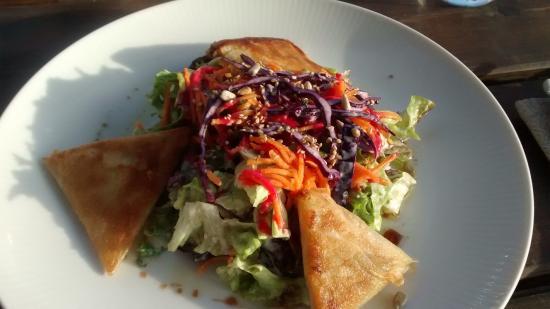 Association Les Sheds