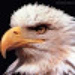 Hotel E Restaurante Portal Das Aguas