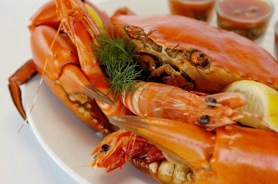 Seafood Extravaganza