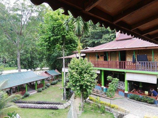 The Rainforest Café