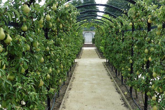 Museumtuin van Gaasbeek