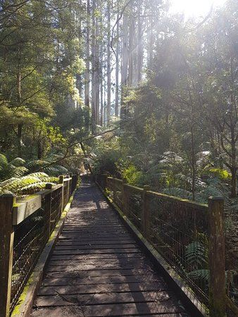 Sherbrooke Picnic Ground