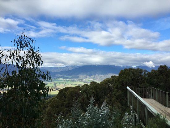 Mount Bogong Lookout