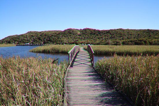 Princetown Wetlands Boardwalk