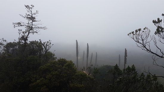 Parque Ecologico Matarredonda
