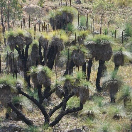 Crawney Pass National Park