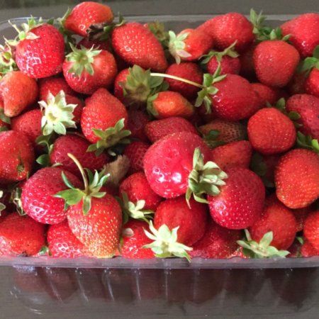 Littlewood Berry Farm and Littlewood Lamb